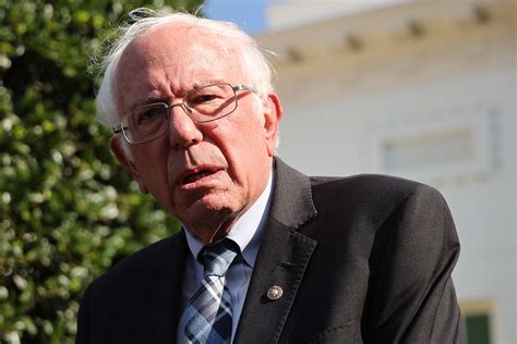 Bernie Sanders' Chances of Becoming President if Biden Doesn .